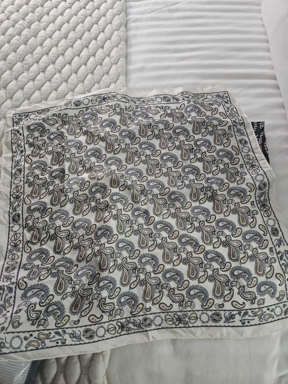 Paisley Accent Scarves- Unbranded - Picture 2 of 3